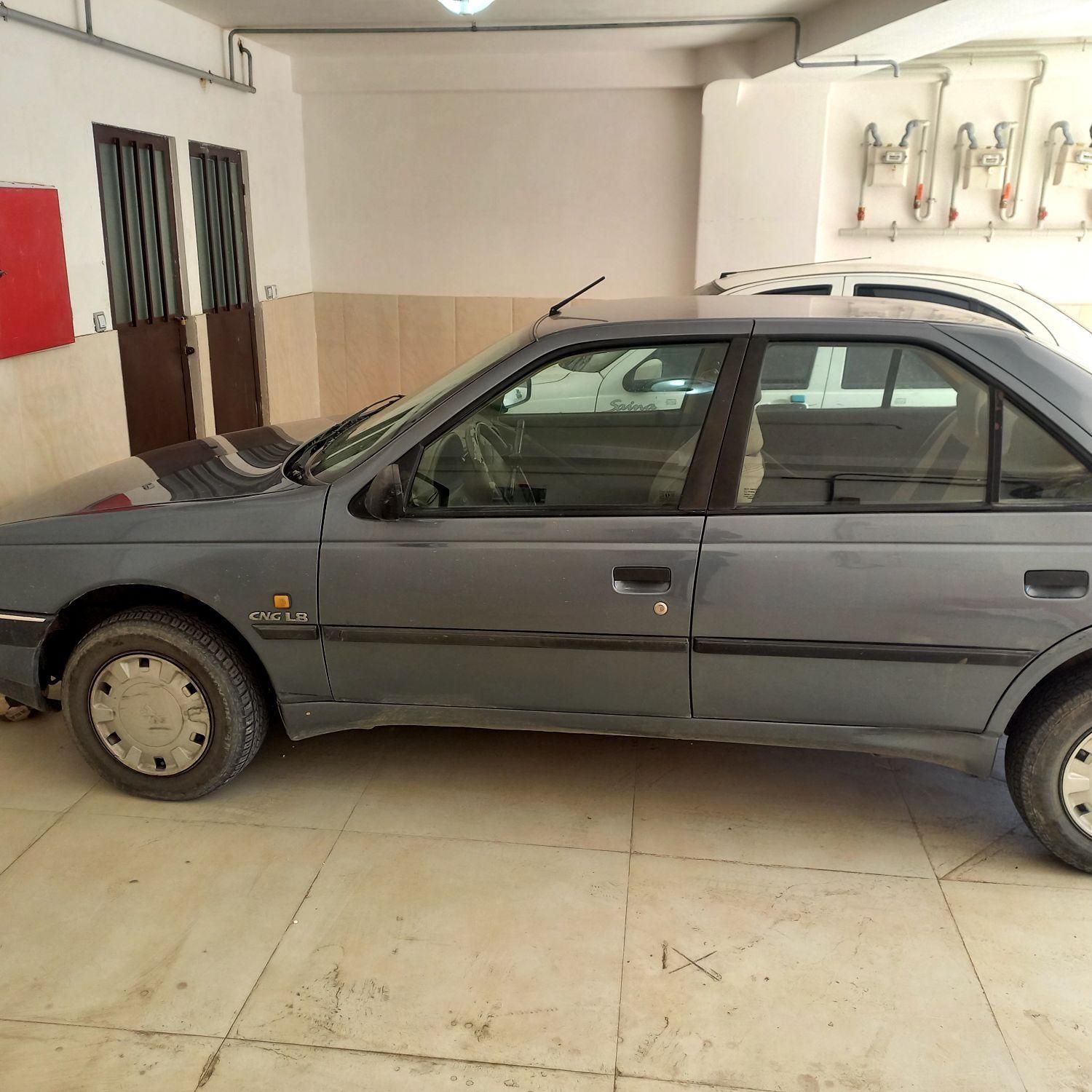 پژو 405 GL - دوگانه سوز CNG - 1371