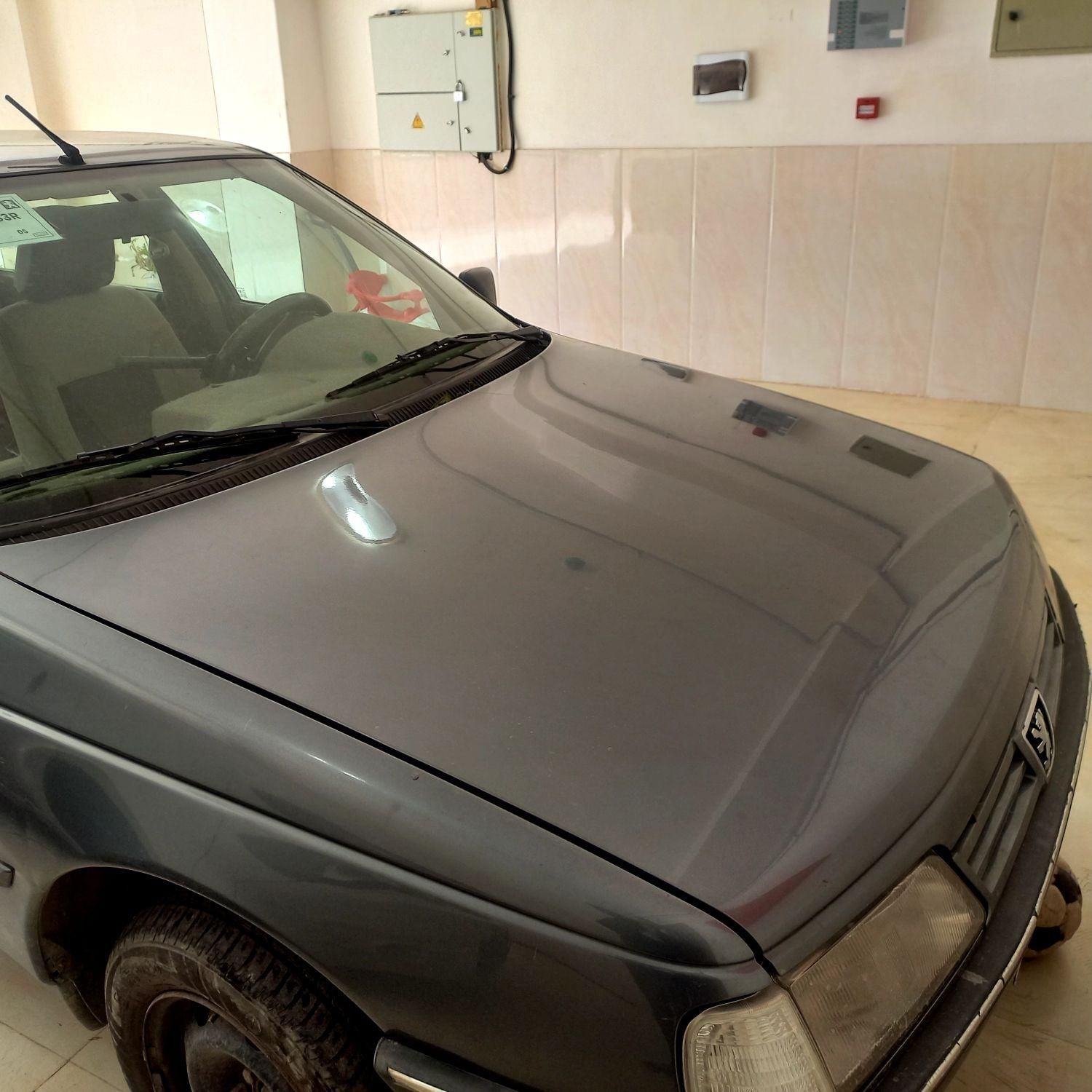 پژو 405 GL - دوگانه سوز CNG - 1371