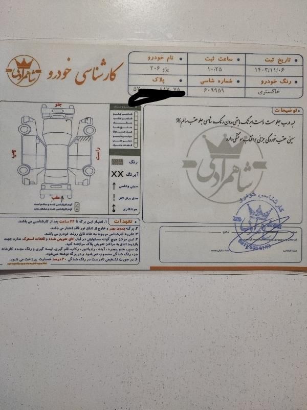پژو 206 SD v8 - 1391