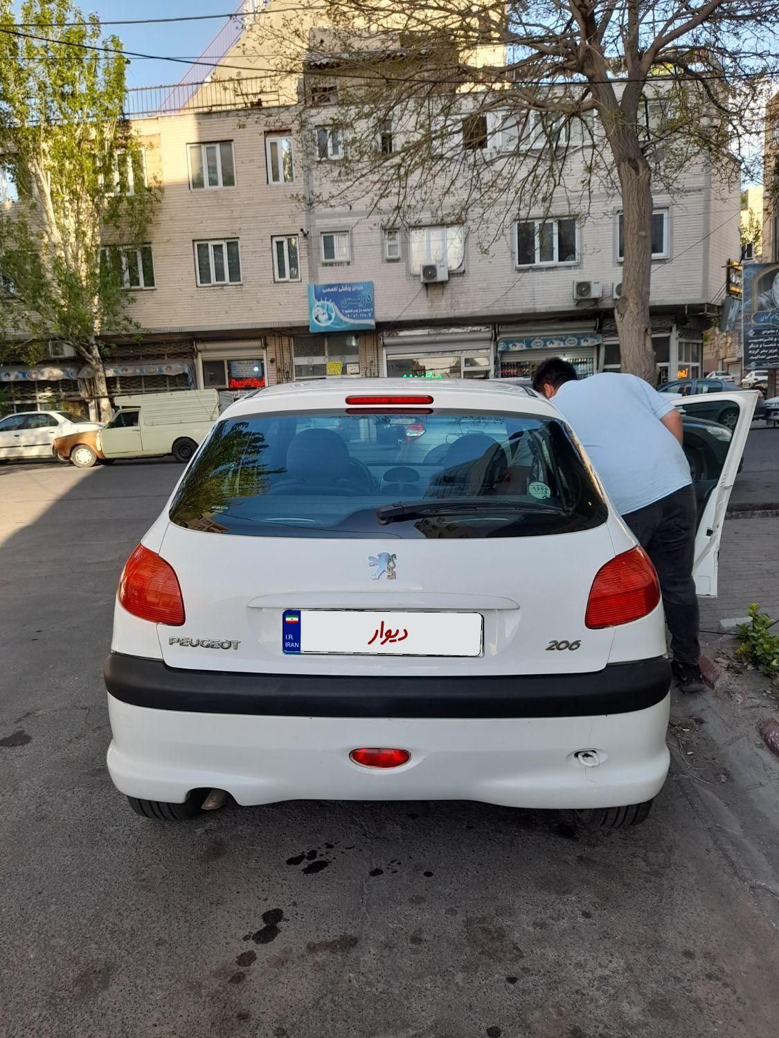 پژو 206 تیپ 2 - 1391