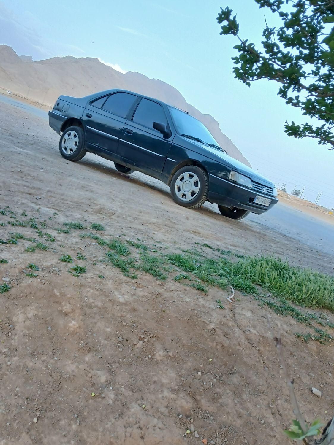 پژو 405 GLX - دوگانه سوز - 1381