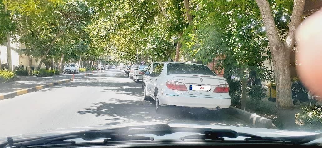 خودرو نیسان، ماکسیما آگهی ann_17947467