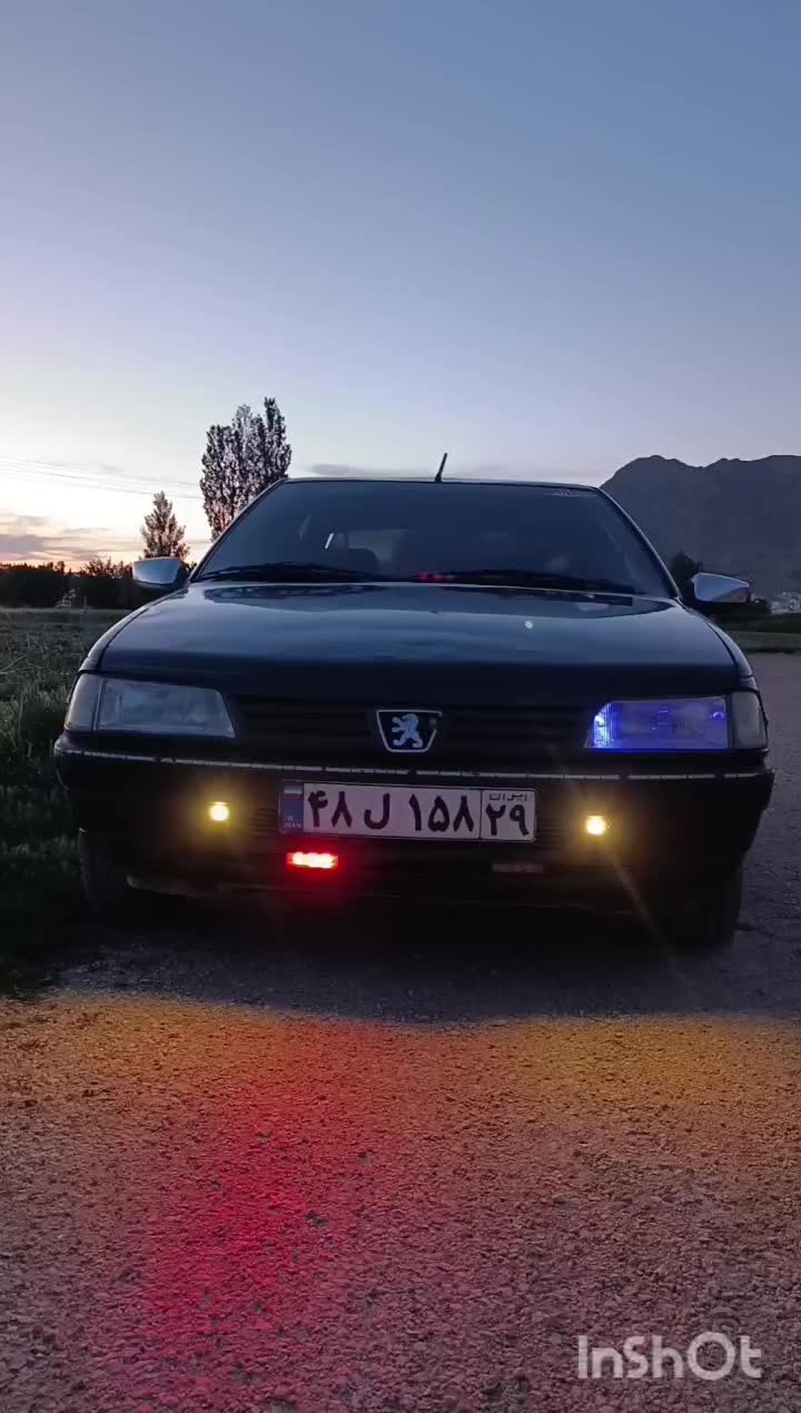پژو آردی دوگانه سوز CNG - 1382