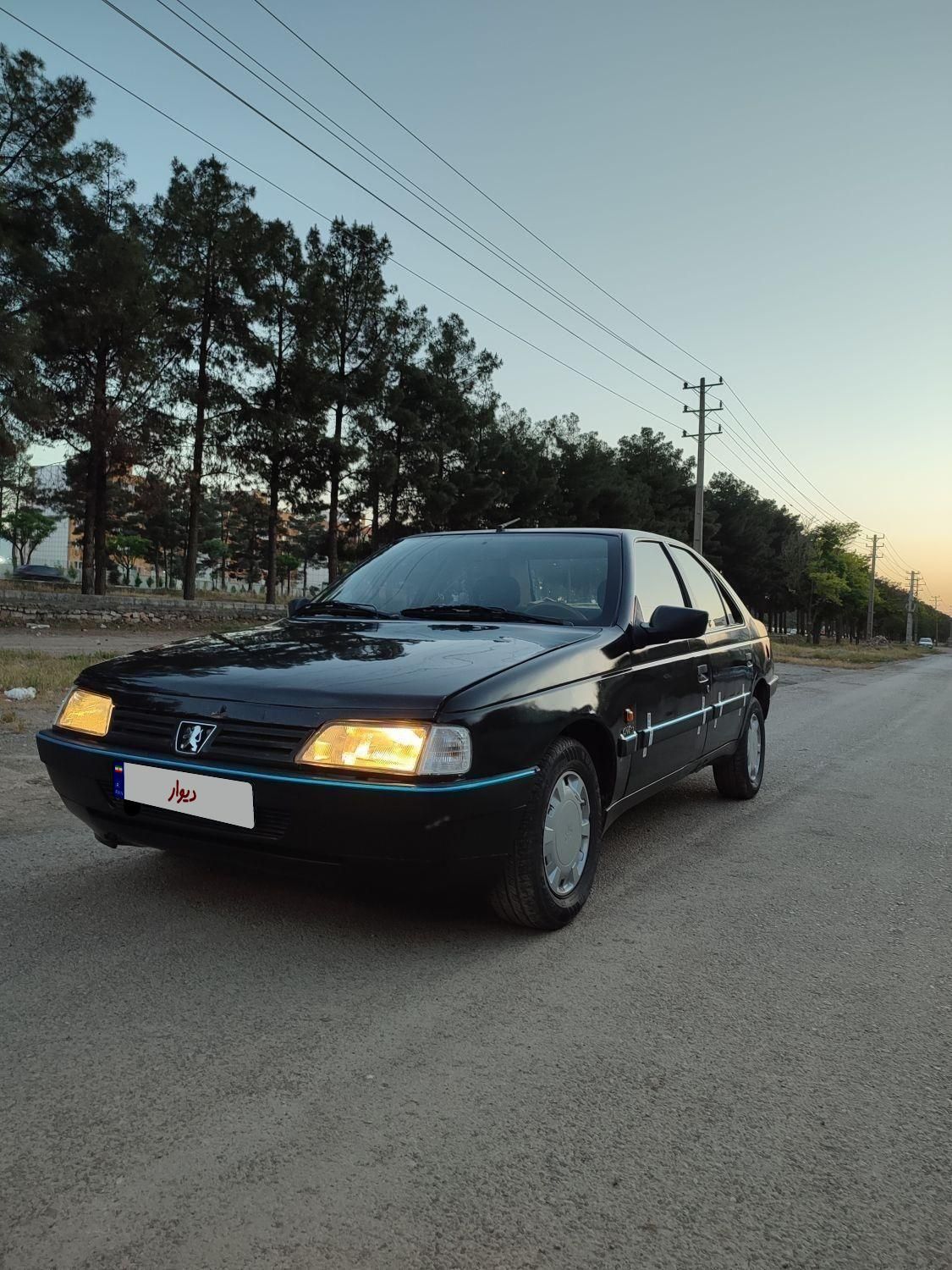 پژو 405 GLX - دوگانه سوز - 1390