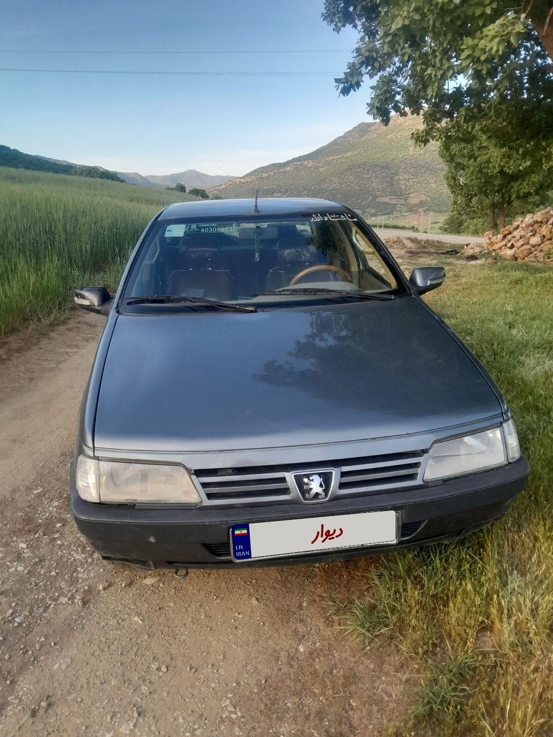 پژو 405 GL - 1369
