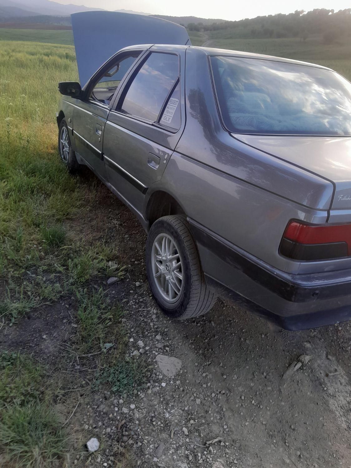 پژو 405 GL - 1369