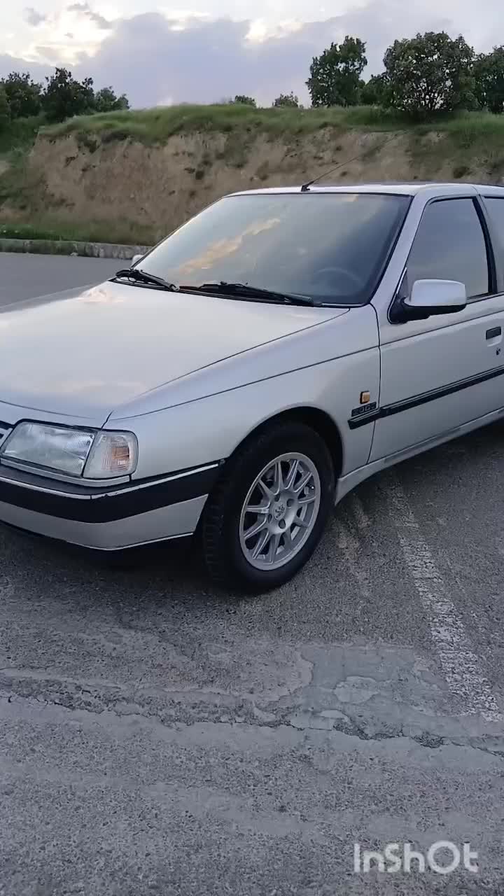 پژو 405 GLX - 1388