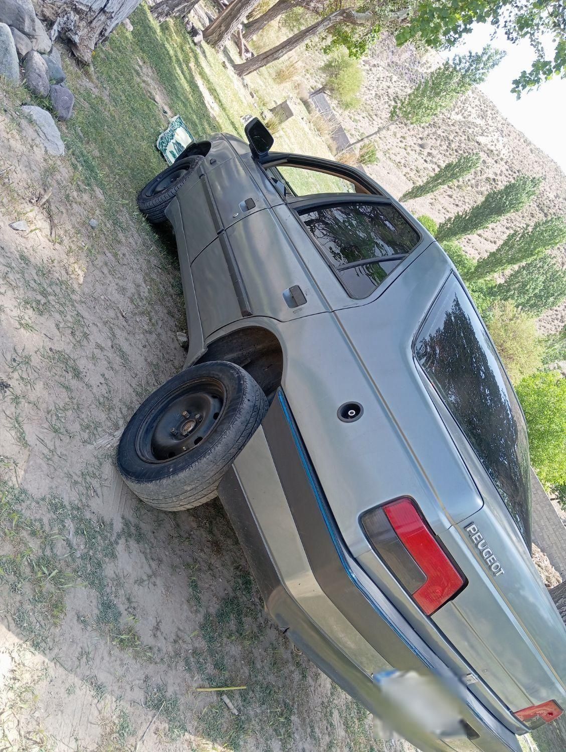 پژو 405 GLI - دوگانه سوز CNG - 1386