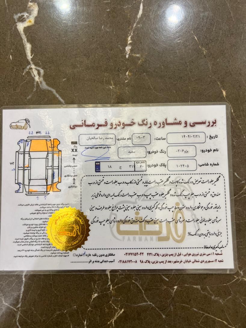 پژو 206 تیپ 2 - 1389
