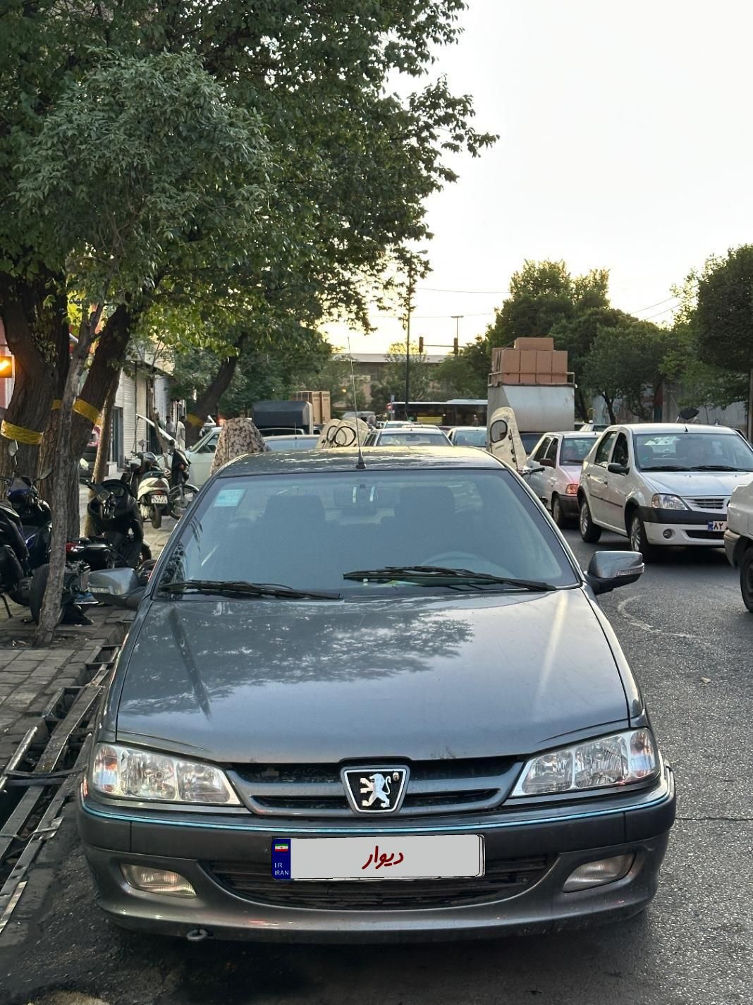پژو پارس ELX-XU7P سفارشی - 1394