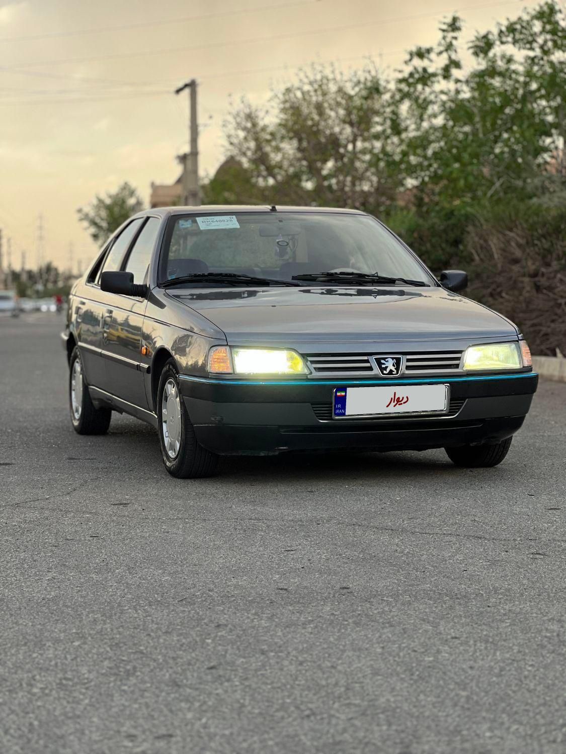 پژو 405 GLX - دوگانه سوز - 1390