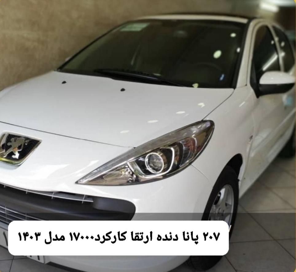 خودرو پژو، 207 آگهی ann_17971845