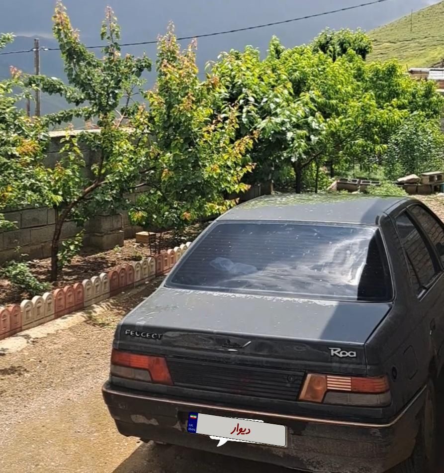 پژو روآ دوگانه سوز - 1385