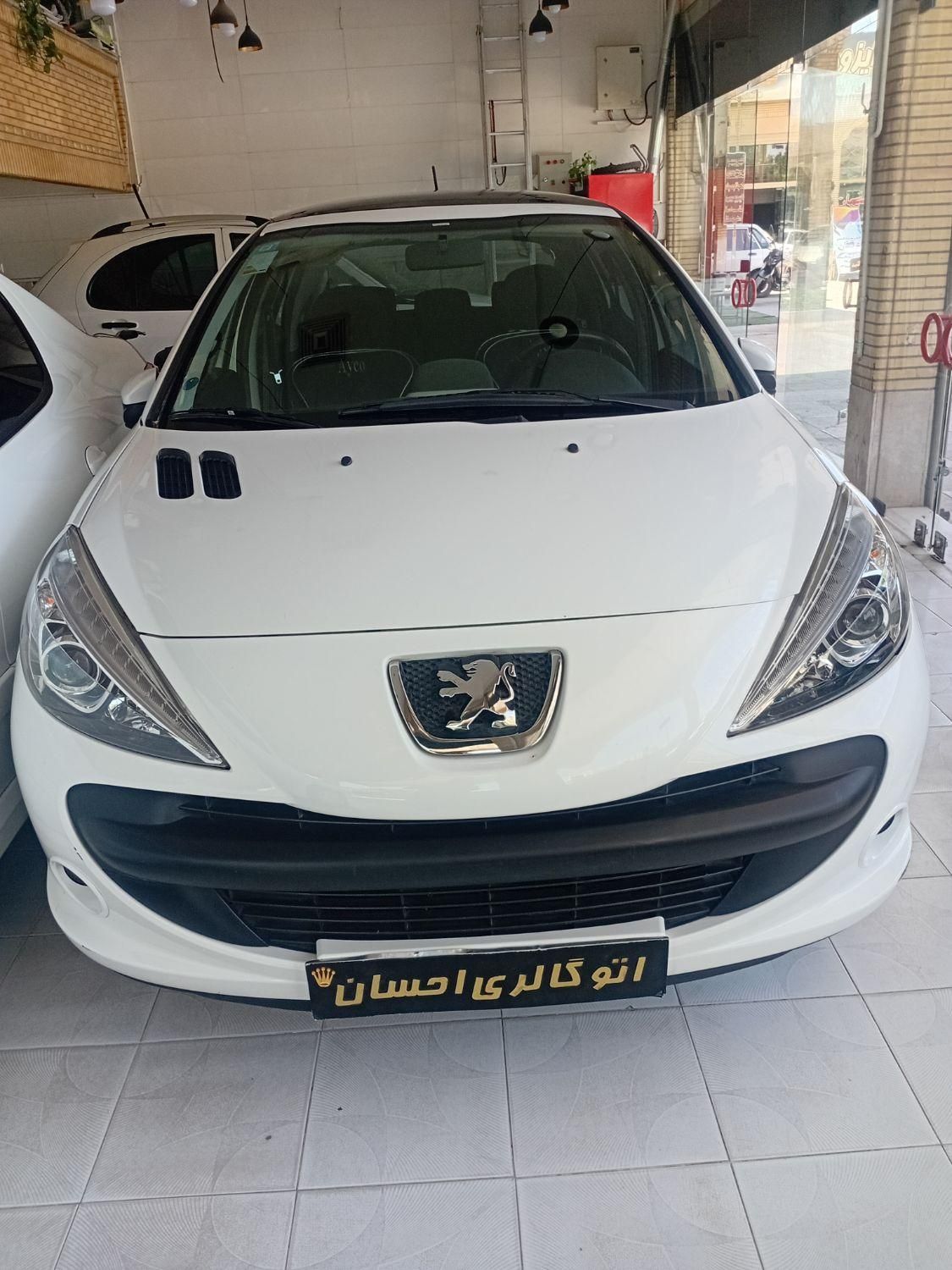 خودرو پژو، 207 آگهی ann_17975609