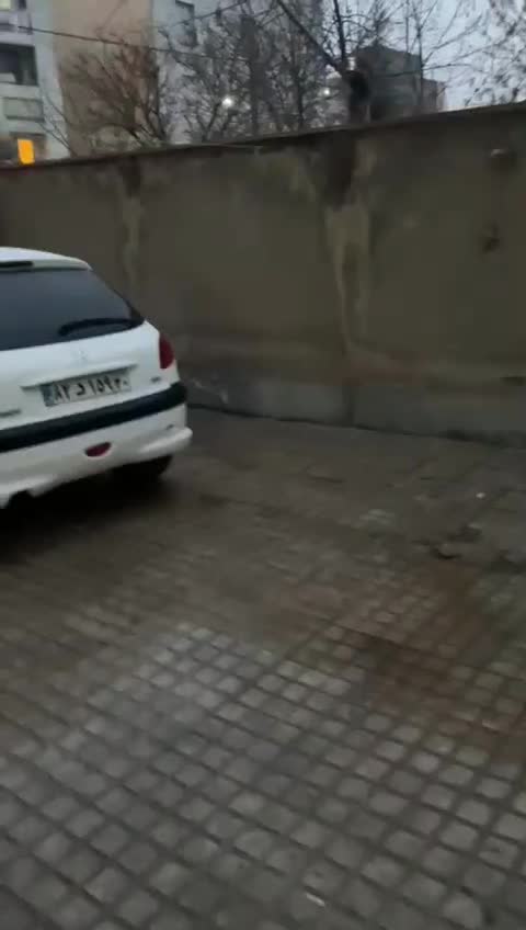 خودرو پژو، 206 آگهی ann_17978306