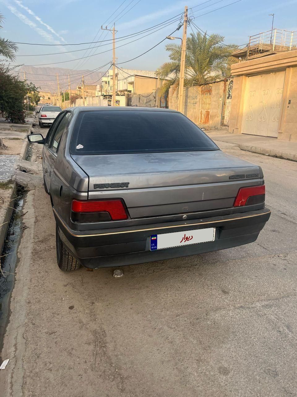 پژو 405 GLX - دوگانه سوز - 1394