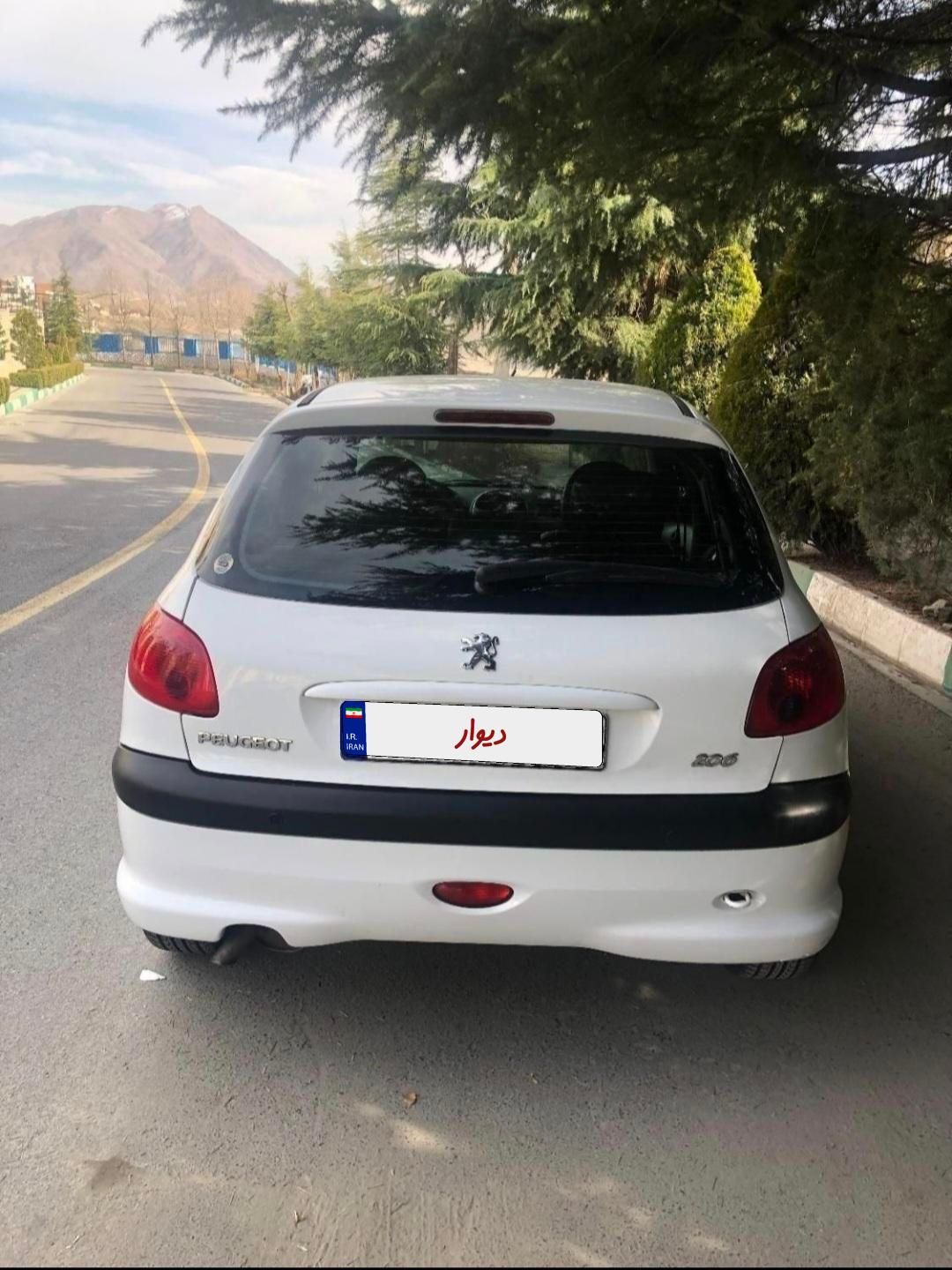 پژو 206 تیپ 5 - 1393