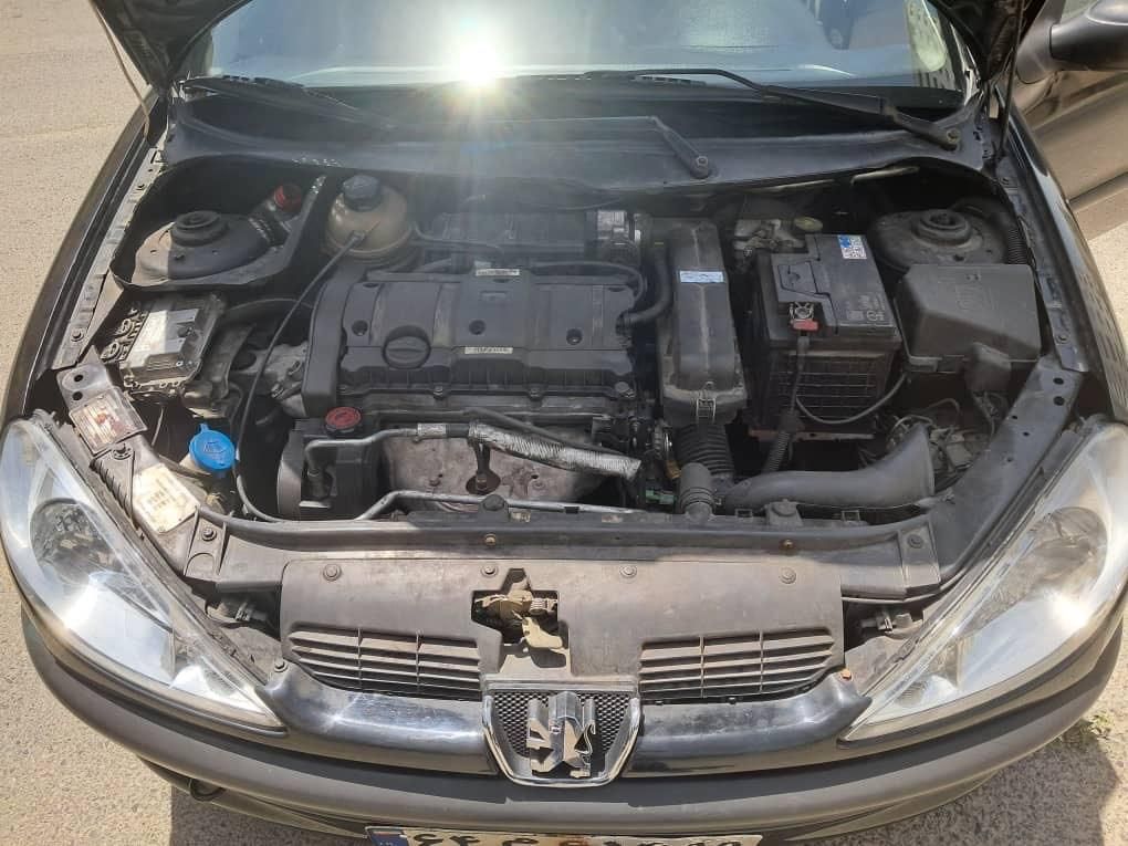 پژو 206 SD v2 - 1389