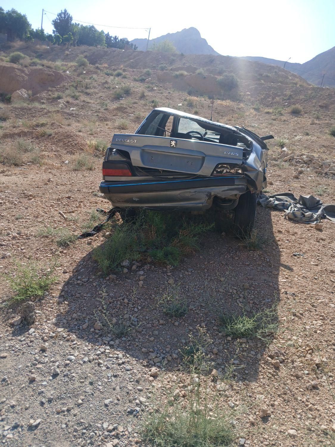 پژو پارس دوگانه سوز - 1391