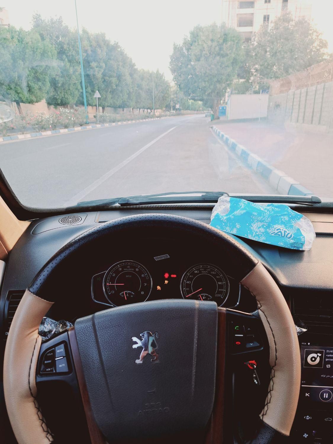 پژو پارس سال - 1393