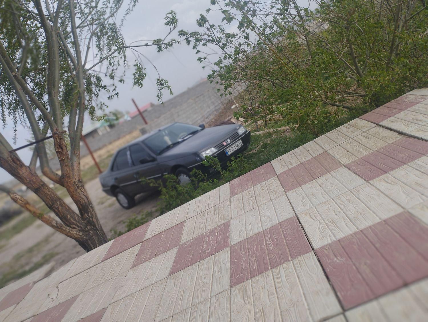 پژو روآ دوگانه سوز - 1386