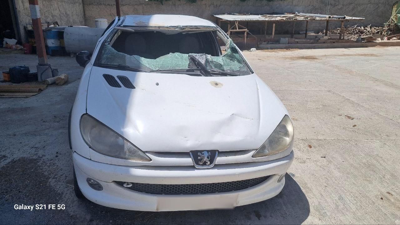 پژو 206 SD v8 - 1390