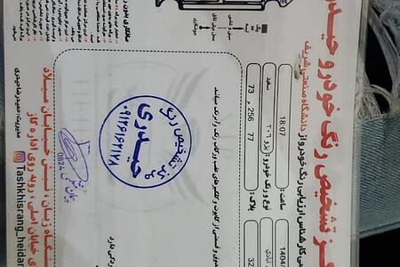 پژو 206 تیپ 5 - 1394