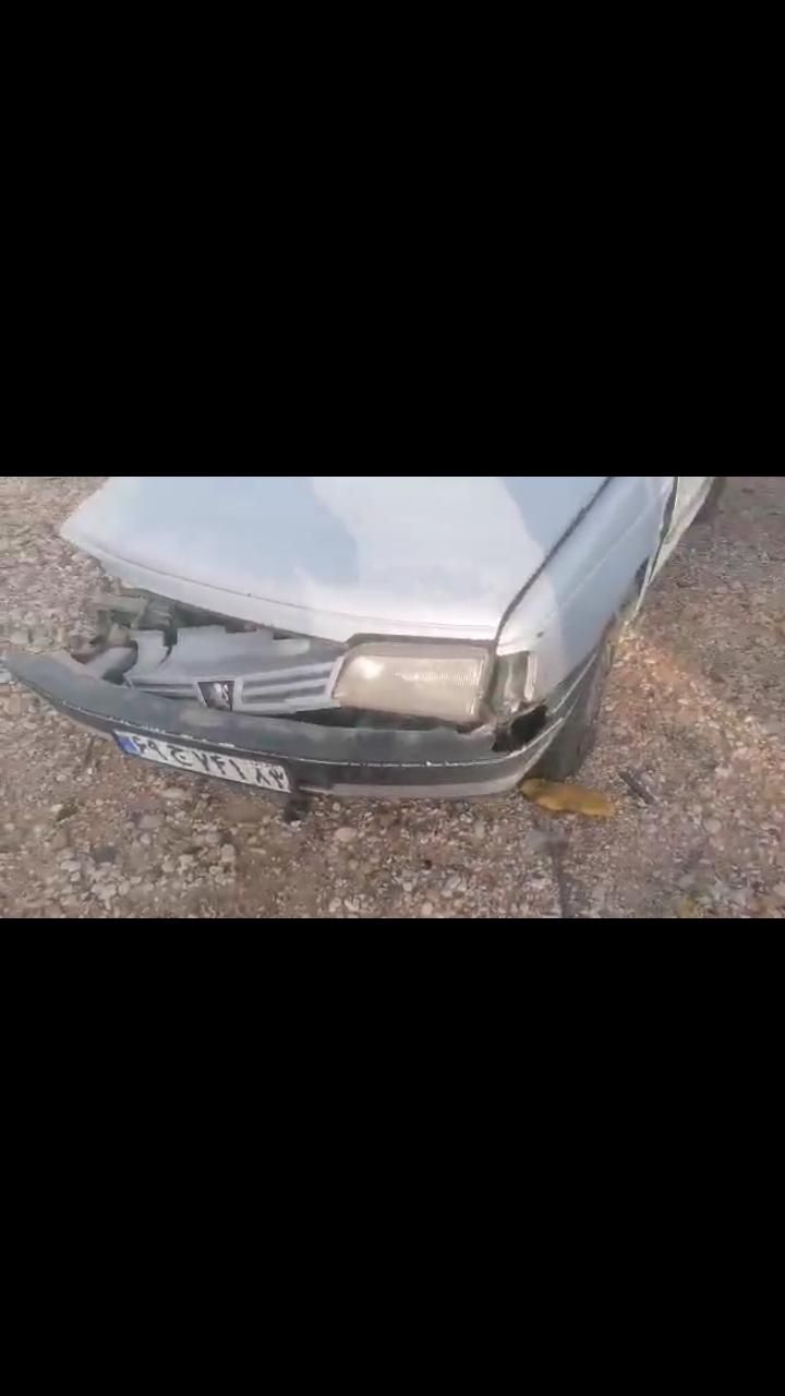 پژو 405 GLX - دوگانه سوز - 1390