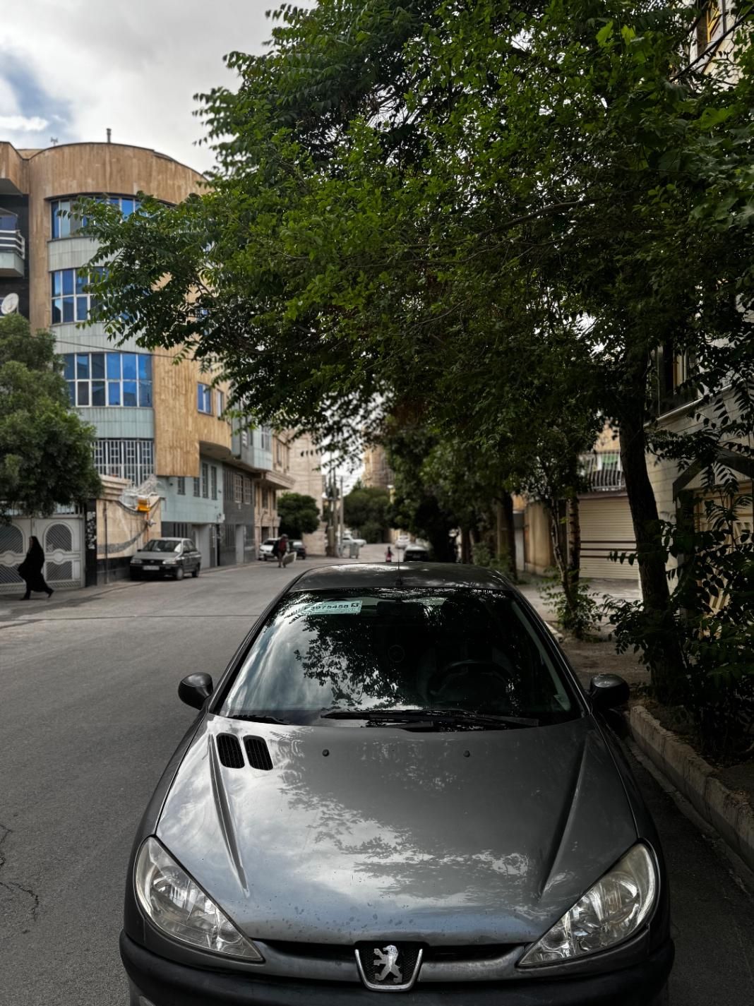 پژو 206 SD v8 - 1390