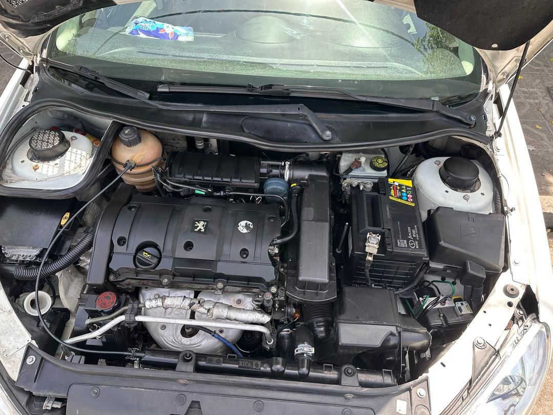 پژو 206 SD v9 - 1389