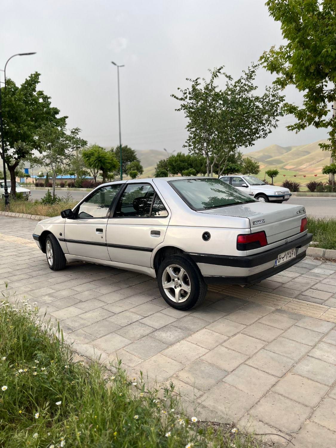 خودرو پژو، 405 آگهی ann_18002182