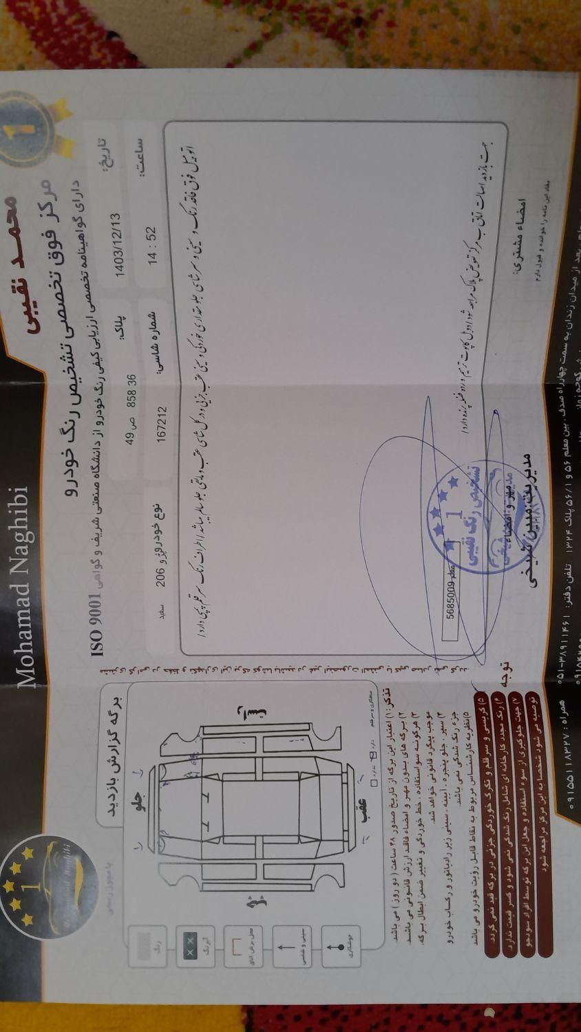 پژو 206 تیپ 2 - 1401