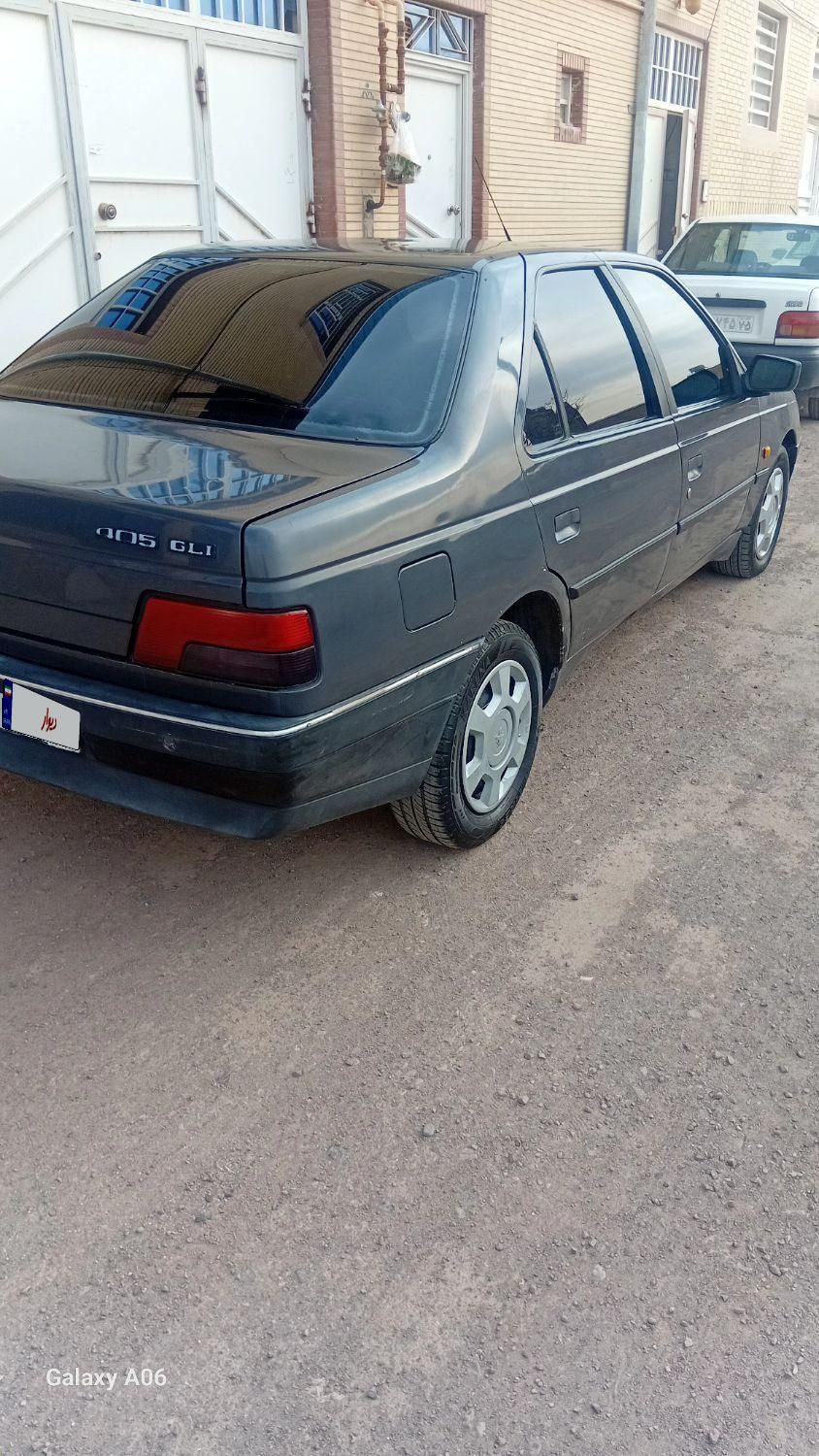 پژو 405 GLI - دوگانه سوز CNG - 1384
