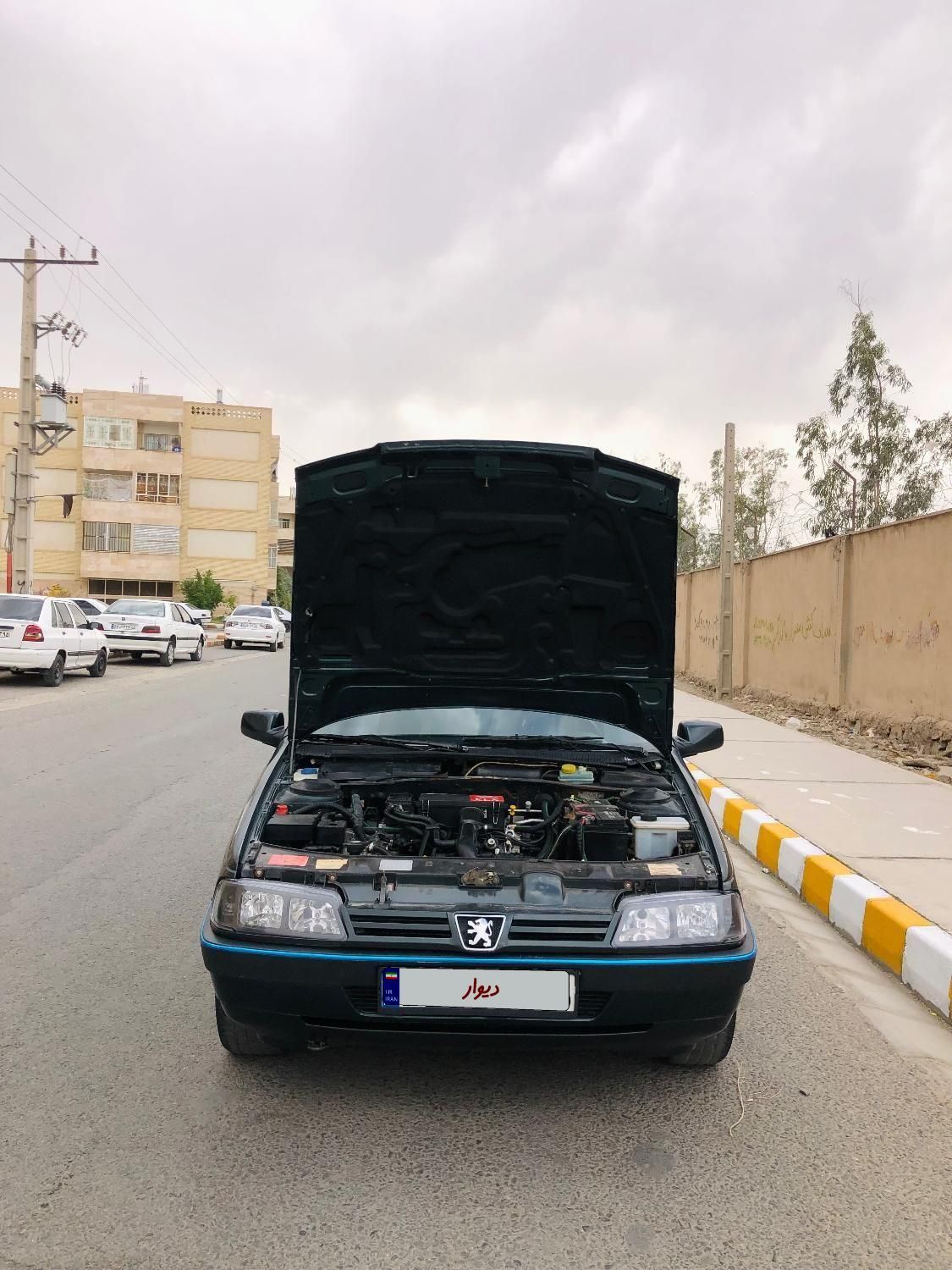 خودرو پژو، 405 آگهی ann_18005827