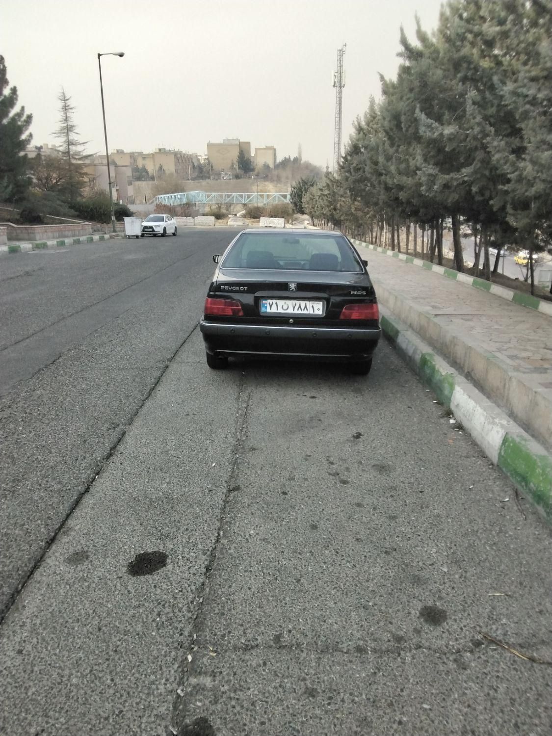 پژو پارس ELX-XU7P سفارشی - 1394