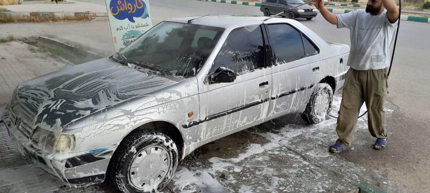 پژو 405 GLX - دوگانه سوز - 1391