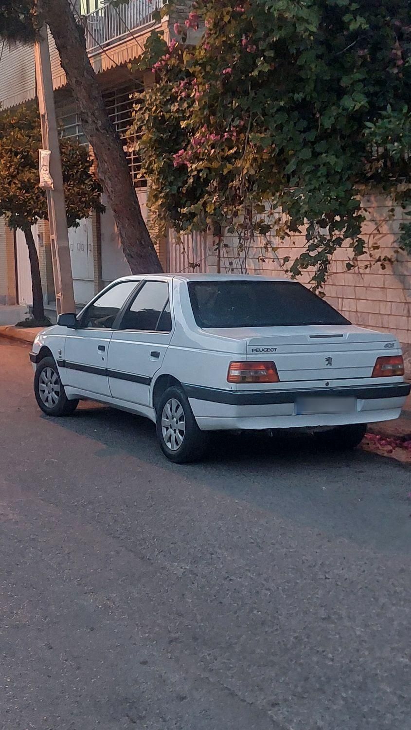 پژو 405 SLX بنزینی TU5 - 1395