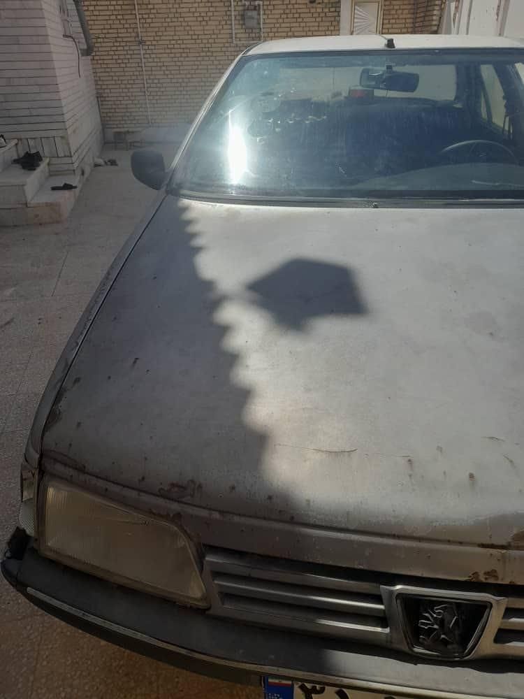 خودرو پژو، 405 آگهی ann_18013346