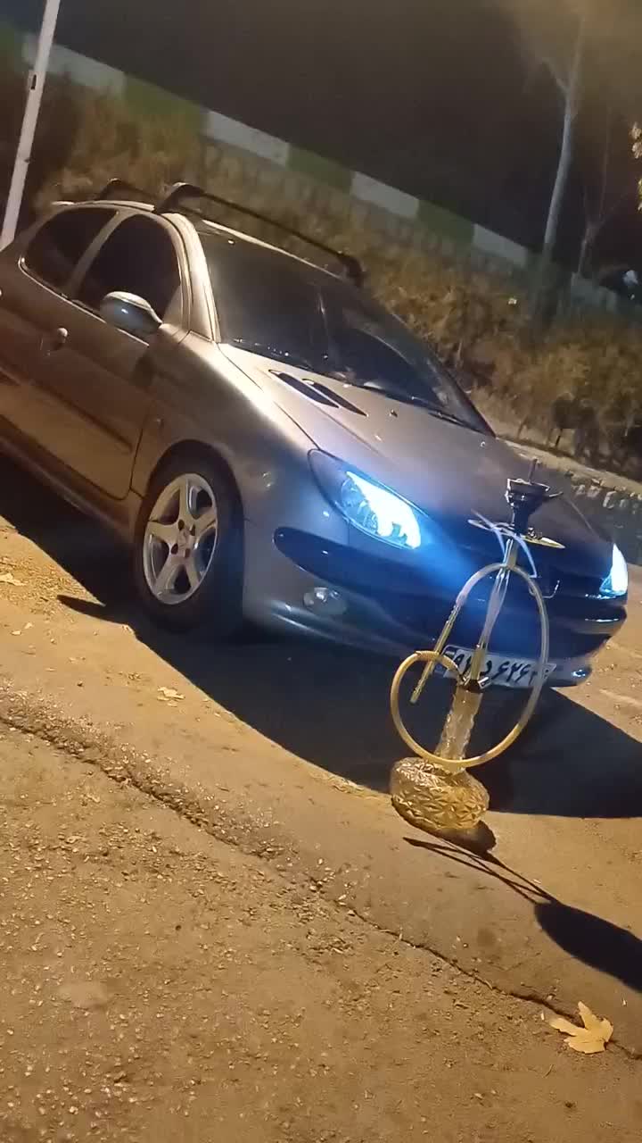 خودرو پژو، 206 آگهی ann_18016209