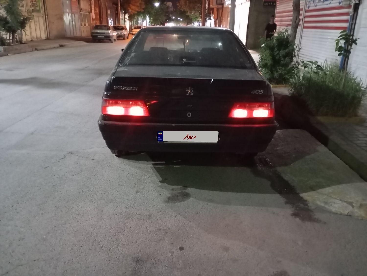 پژو آردی دوگانه سوز CNG - 1382