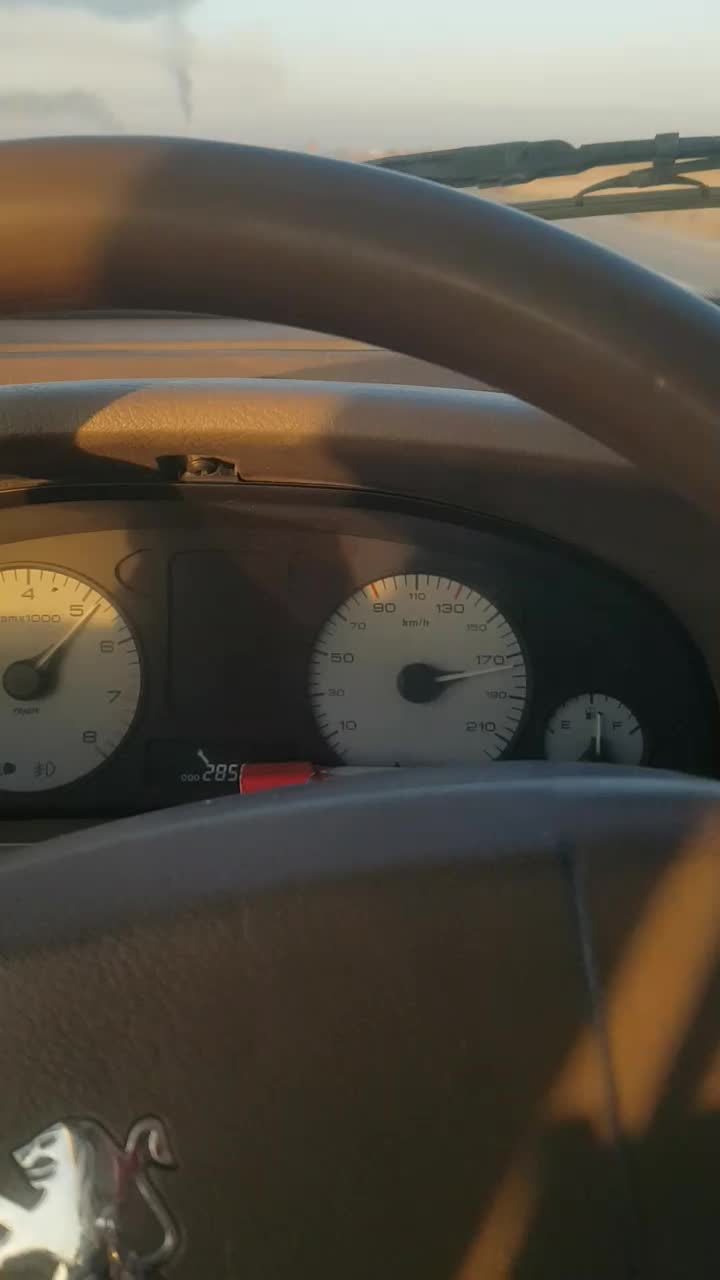 پژو پارس سال - 1393