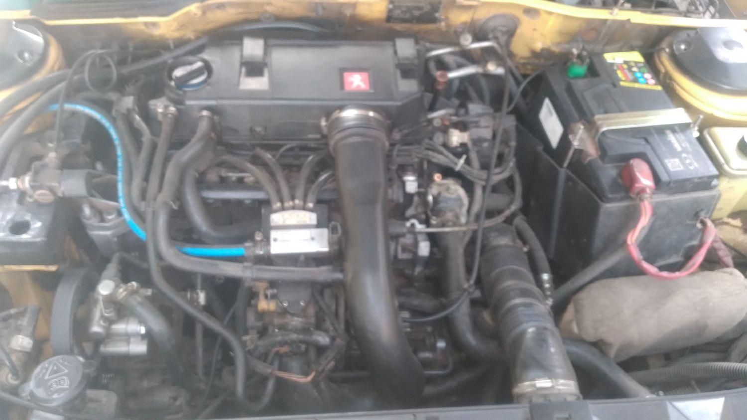پژو 405 GLX - دوگانه سوز - 1395