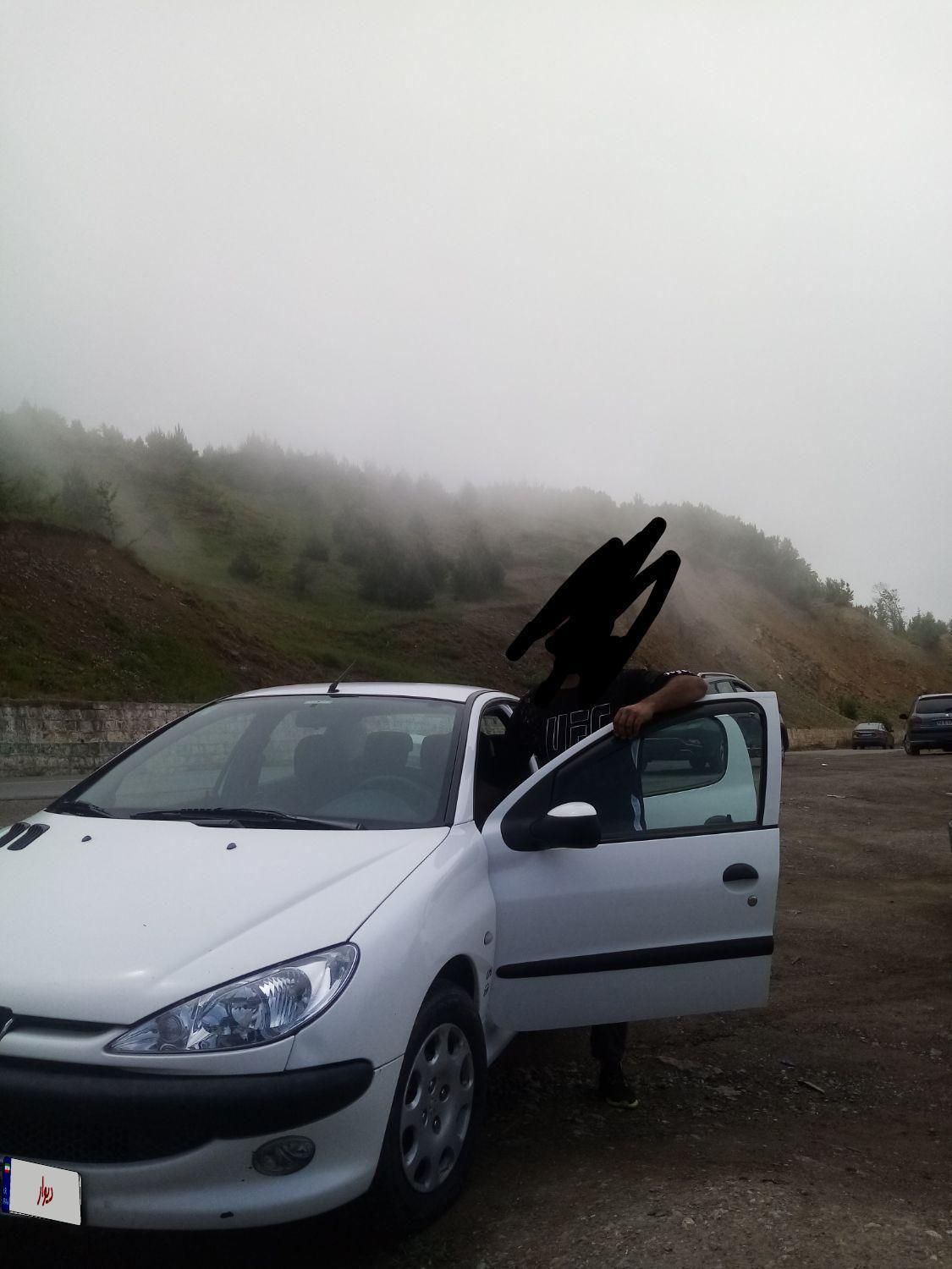 پژو 206 SD v8 - 1391