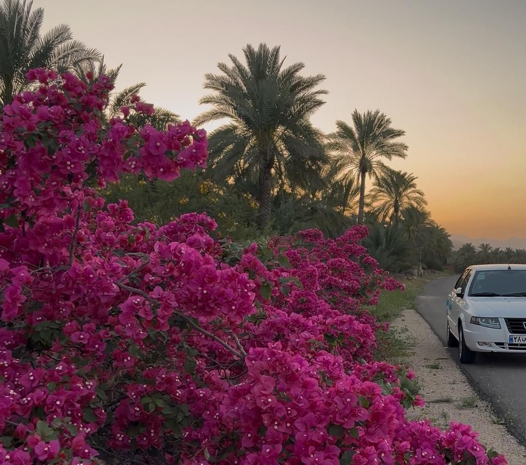 خودرو سمند، سورن آگهی ann_18019685