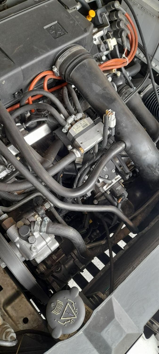 پژو 405 GLX - دوگانه سوز - 1393