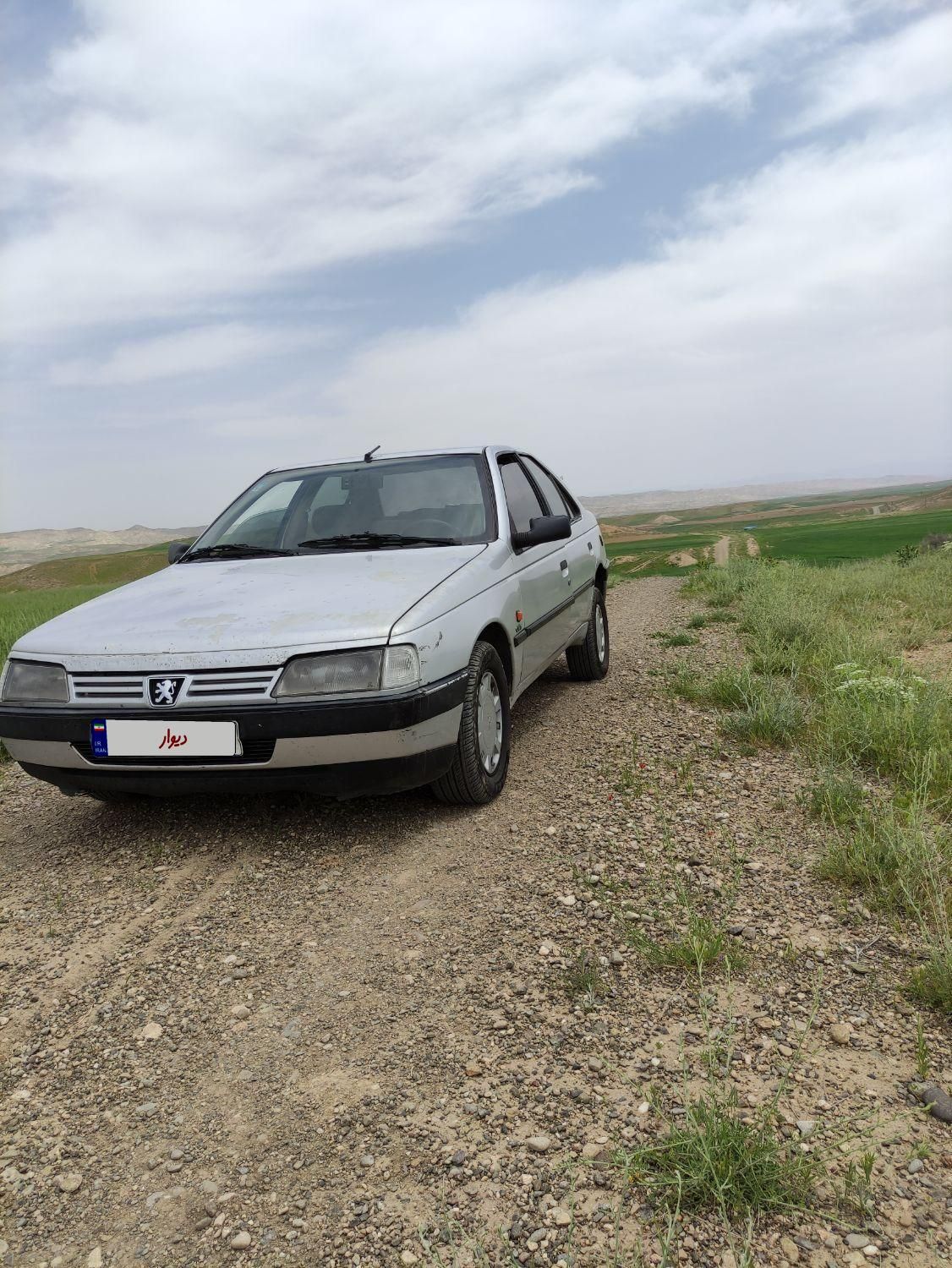 پژو 405 GLX - دوگانه سوز - 1386