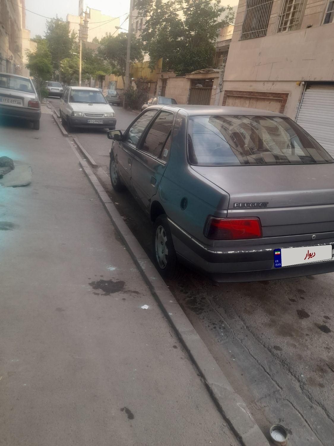 پژو 405 GLX - دوگانه سوز - 1393