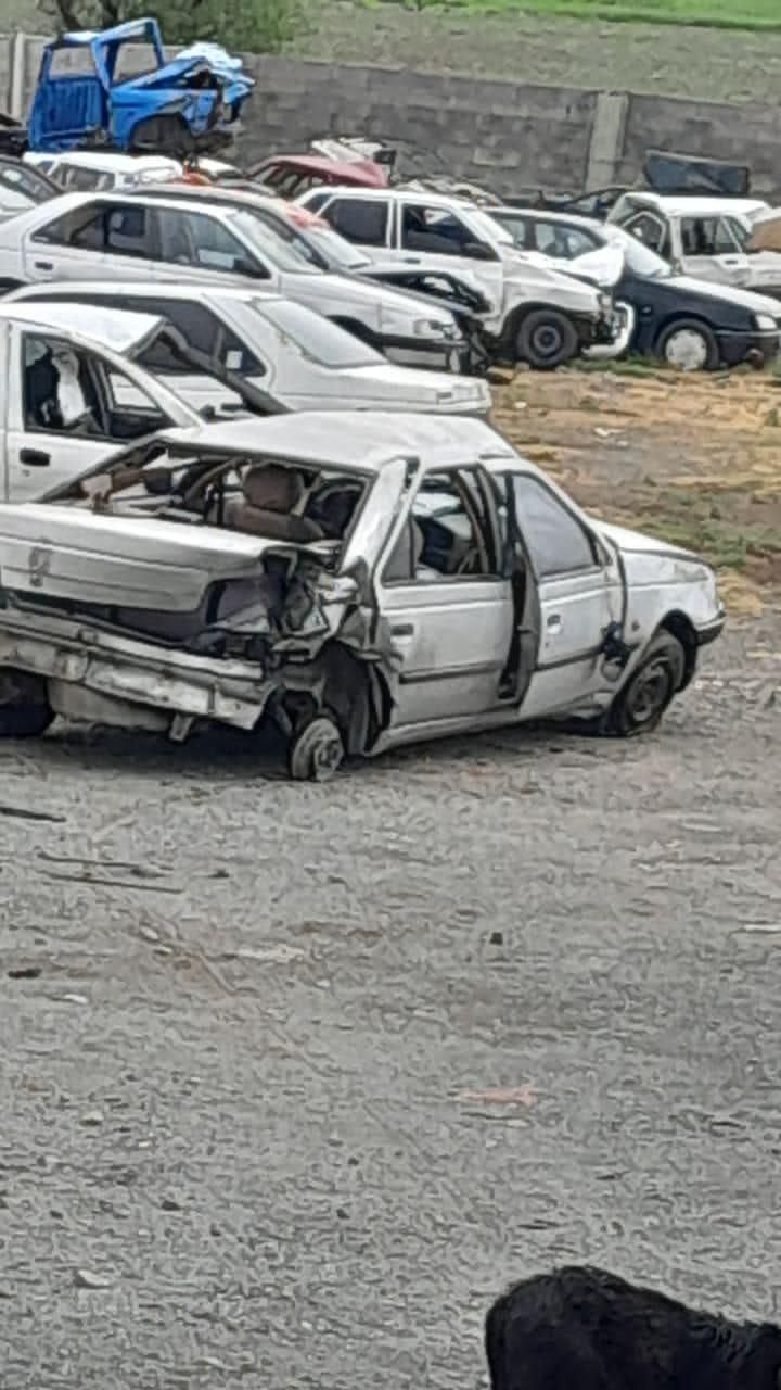 پژو 405 GLI - دوگانه سوز CNG - 1386