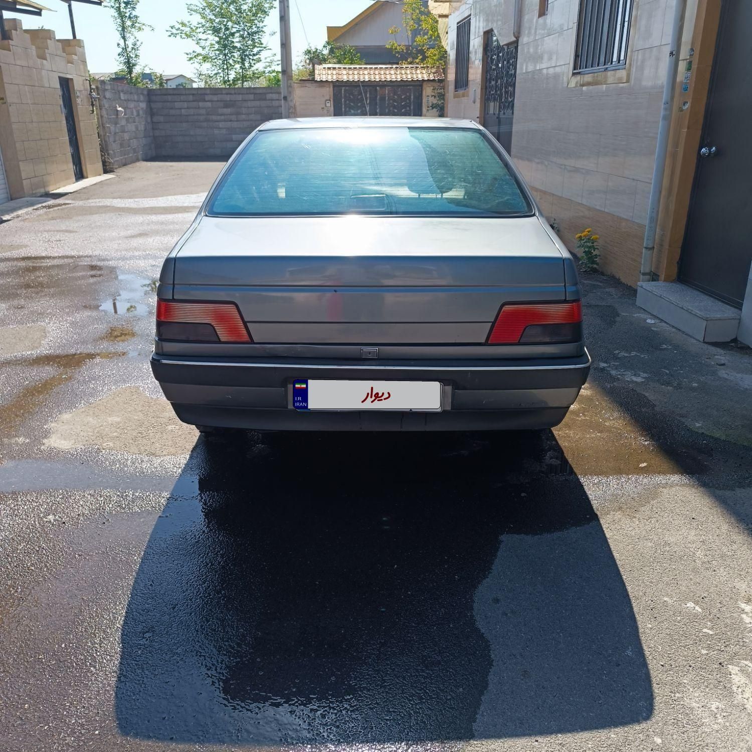 پژو 405 GLX - دوگانه سوز - 1389