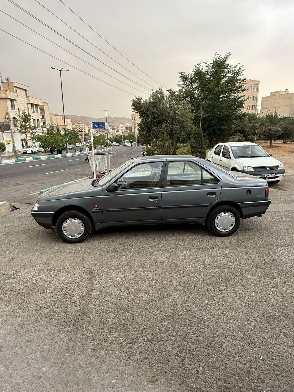 پژو 405 GLX - دوگانه سوز - 1394